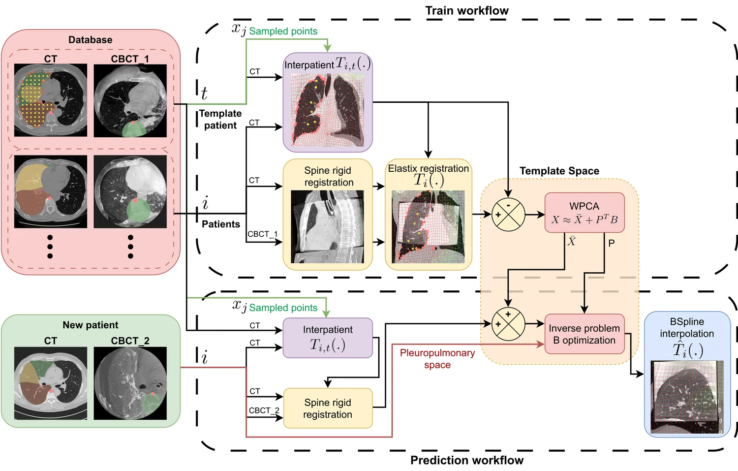 The weighted-PCA deformation model in two workflows. Train: a cohort of CT/CBCT patients is registered into a common template space, where a weighted PCA learns a mean field plus principal modes. Predict: for a new patient, the same registration plus an inverse problem on the modes' coefficients reconstructs a dense deformation field by B-spline interpolation.